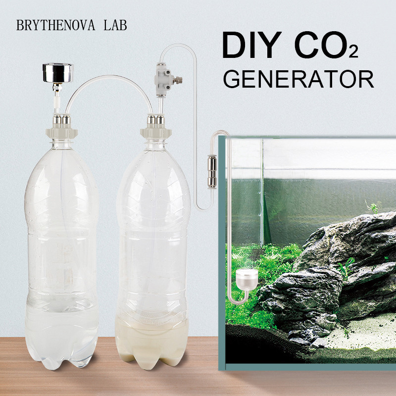 Planted Aquarium Moss - Générateur de CO2 pour aquarium planté,