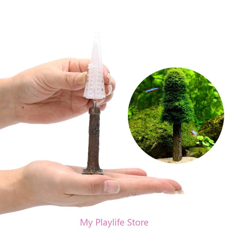 Planted Aquarium Moss - Mousse d'aquarium pour décoration de poisson,