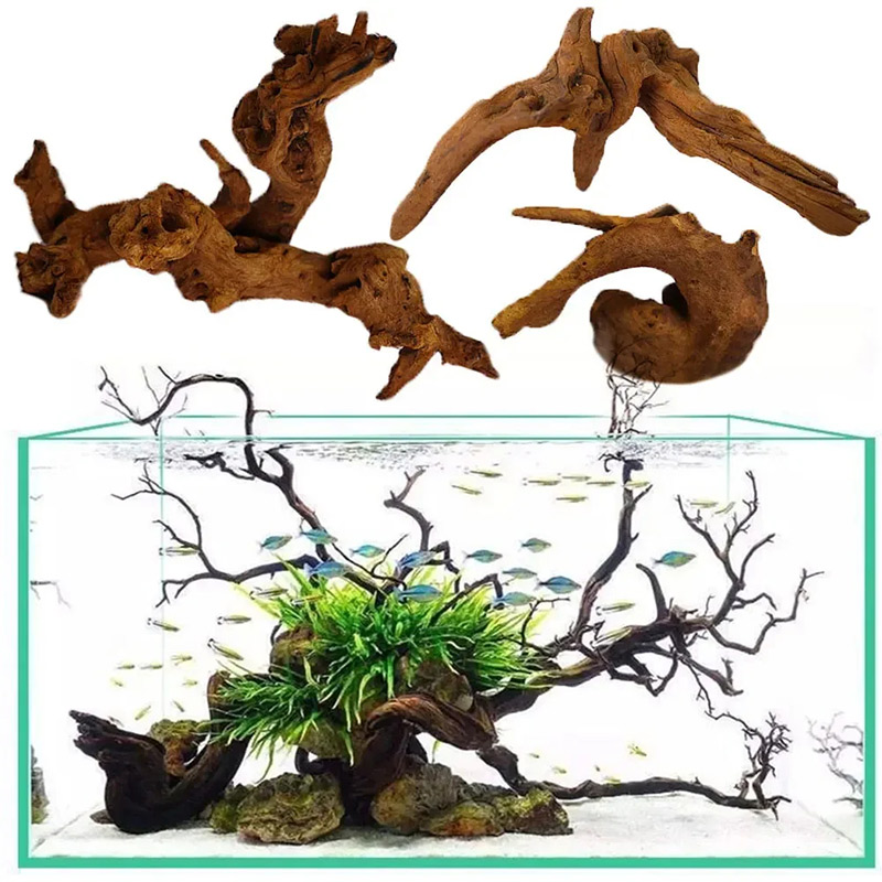 Aquarium Planted Soil - Décoration d'aquarium très demandée : Nouveaux