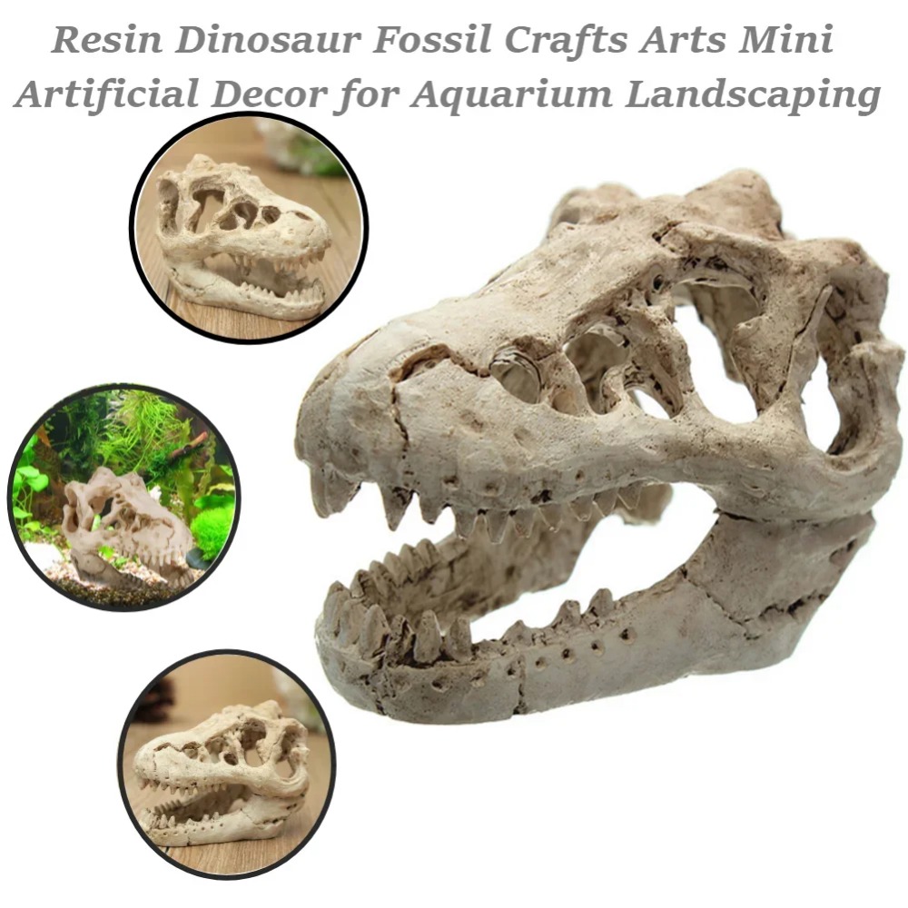 Aquarium Zombie - Modèle fossile de dinosaure pour Aquarium,