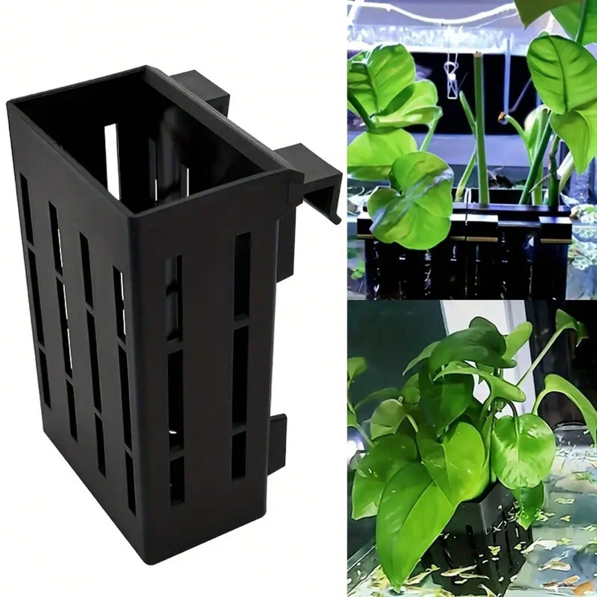 Aquarium Plant Glue Gel - Support pour plantes d'aquarium, panier en