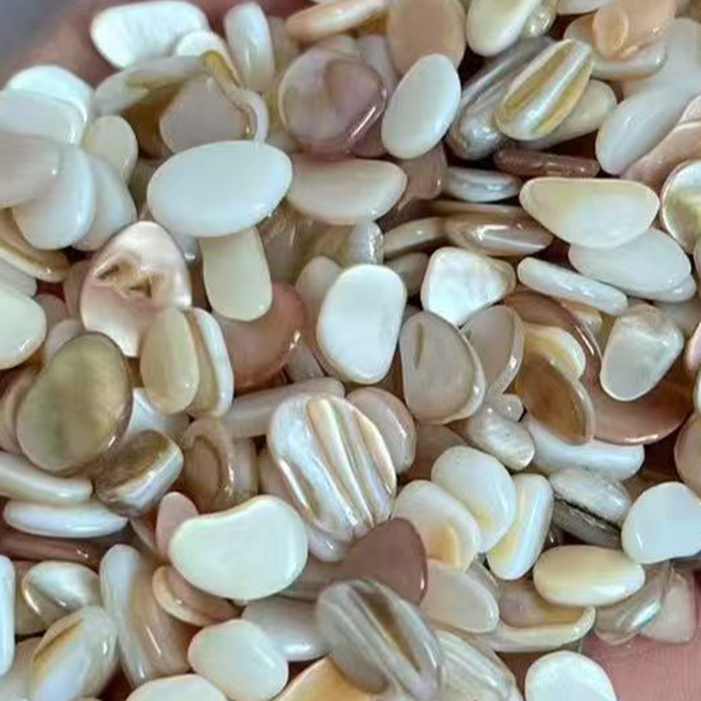 Aquarium Sand White - 50 pièces de mosaïque de coquillages