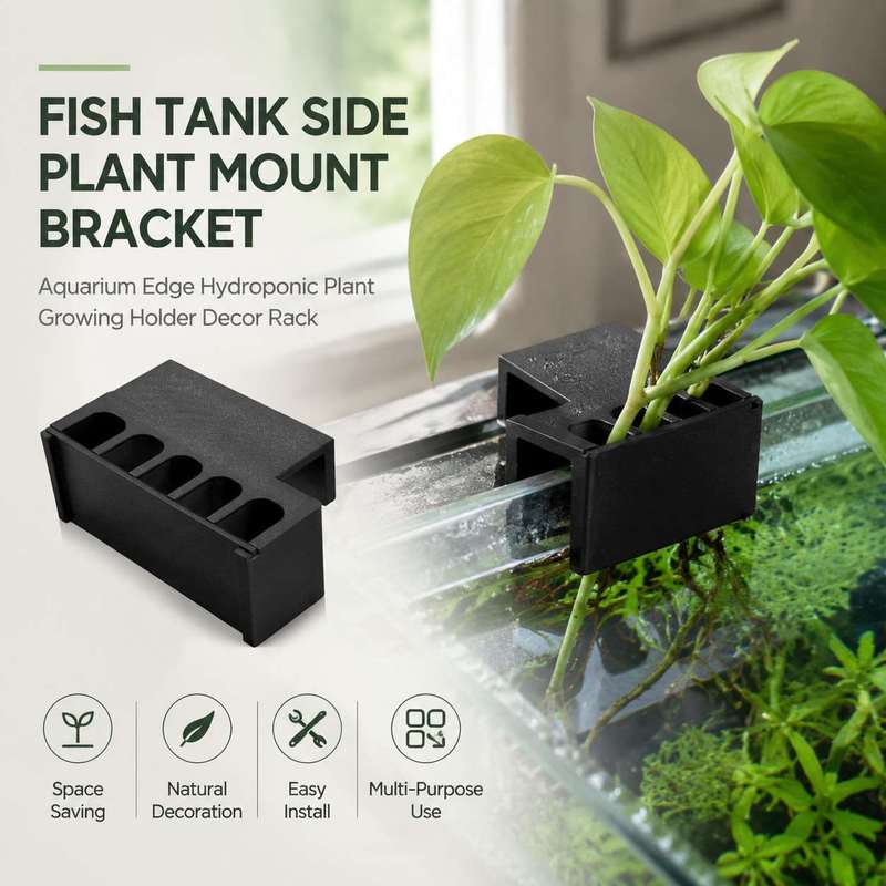 Aquarium Planted Soil - Support latéral pour plantes d'aquarium, support