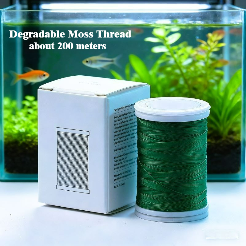 Aquarium Plant Echinodorus - Décor d'aquarium en bois flotté biodégradable,