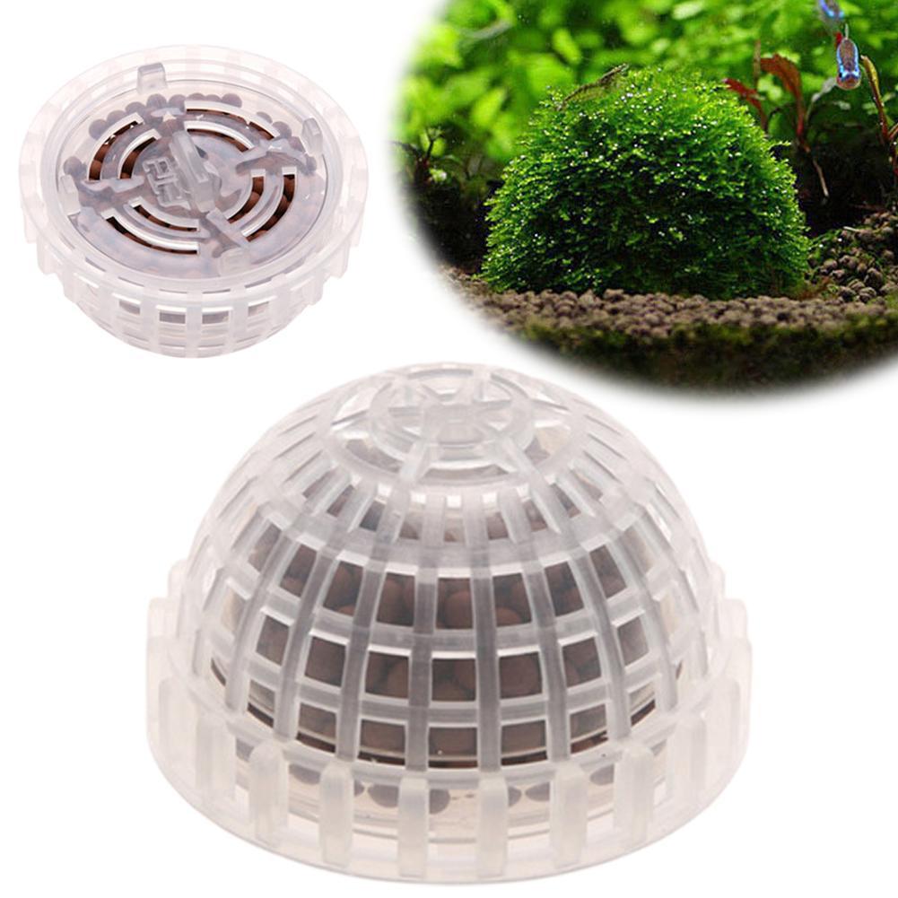 Aquarium Plant Echinodorus - Fournitures aquatiques pour animaux de compagnie,