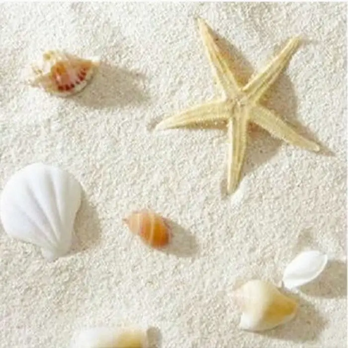 Aquarium Sand White - Naturelle filipin sable corail aménagement paysager