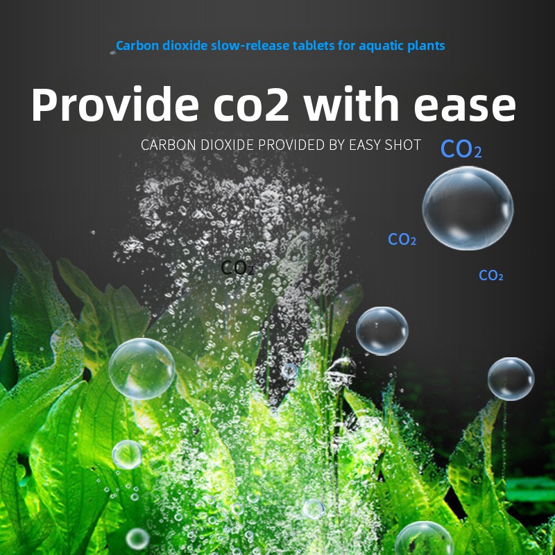 BESSN – comprimés de CO2 à lib - Aquarium Plant Yellowing avis et prix