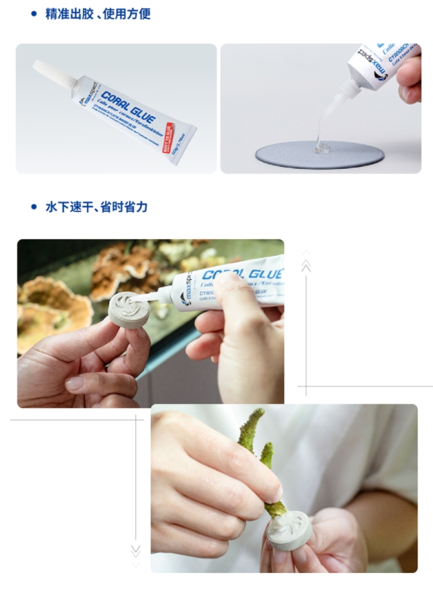 Colle instantanée pour coraux  - Aquarium Plant Glue Gel avis et prix