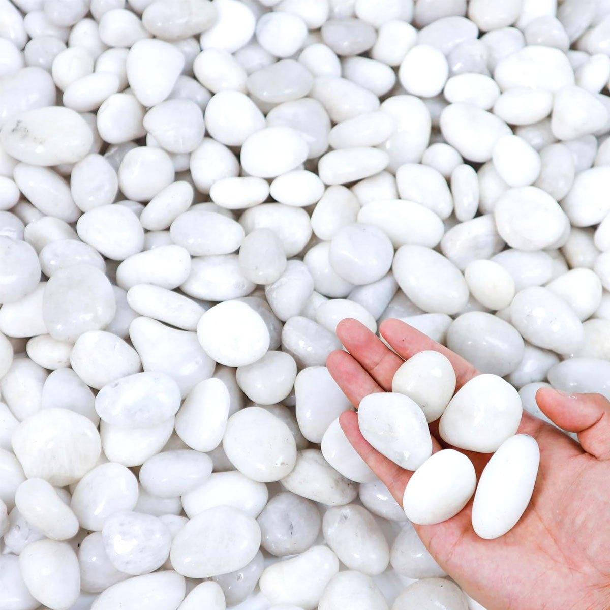 400g de galets de rivière natu - Aquarium Sand White avis et prix