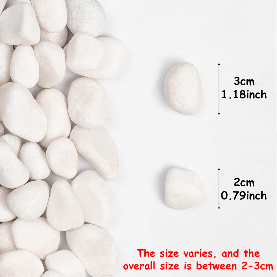 400g de galets de rivière natu - Aquarium Sand White avis et prix