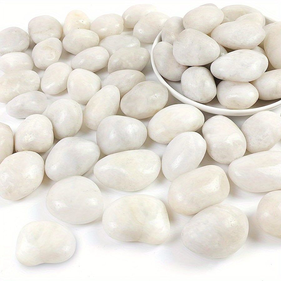 400g de galets de rivière natu - Aquarium Sand White avis et prix