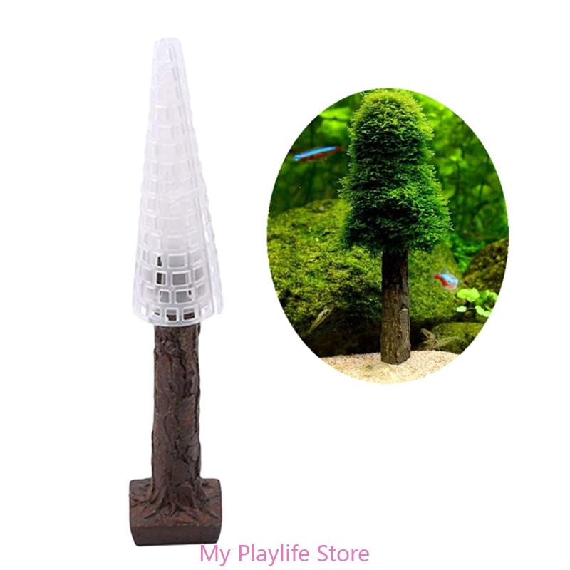 Mousse d'aquarium pour décorat - Planted Aquarium Moss avis et prix
