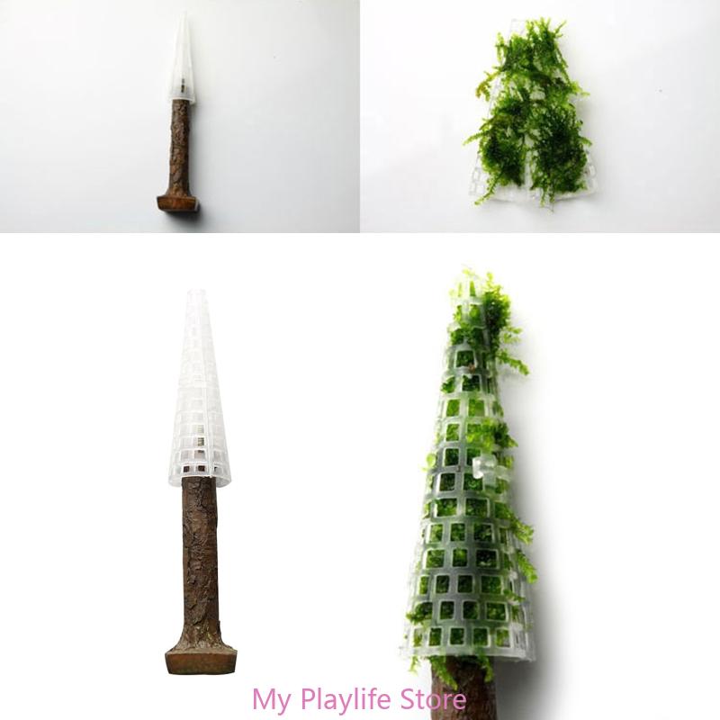 Mousse d'aquarium pour décorat - Planted Aquarium Moss avis et prix