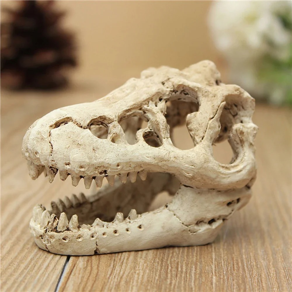 Modèle fossile de dinosaure po - Aquarium Zombie avis et prix