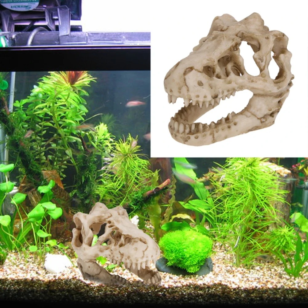 Modèle fossile de dinosaure po - Aquarium Zombie avis et prix