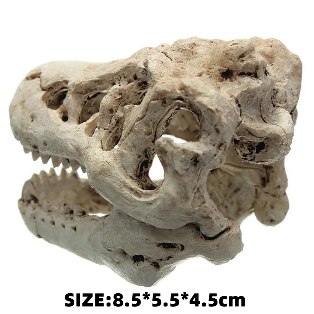 Modèle fossile de dinosaure po - Aquarium Zombie avis et prix