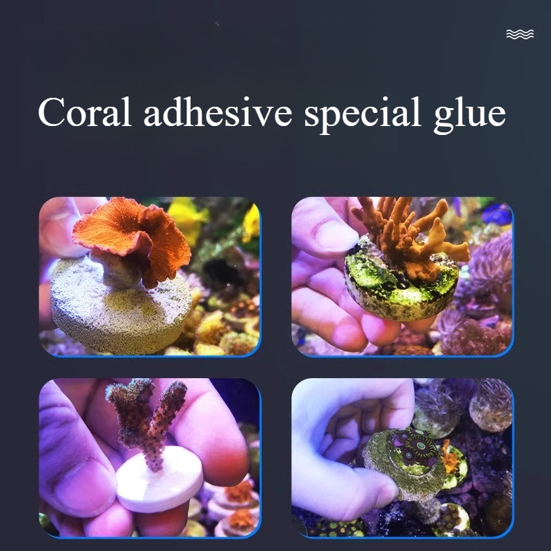 SPS LPS corail récif Frags bou - Aquarium Plant Glue Gel avis et prix