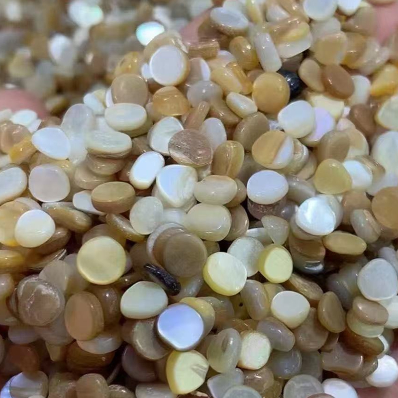 50 pièces de mosaïque de coqui - Aquarium Sand White avis et prix