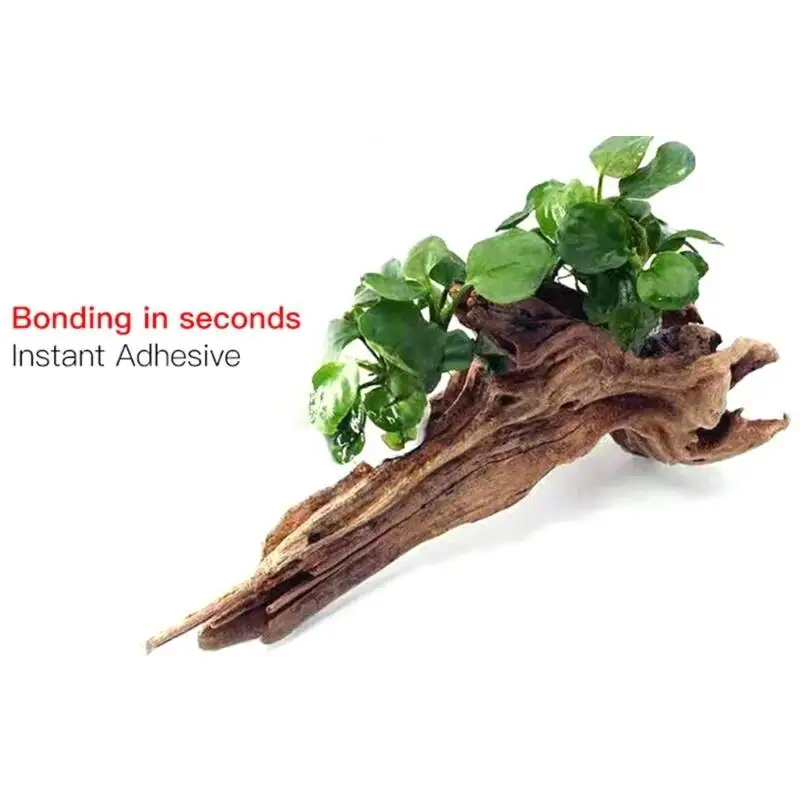 2 ou 5 pièces /3/ Colles trans - Planted Aquarium Moss avis et prix
