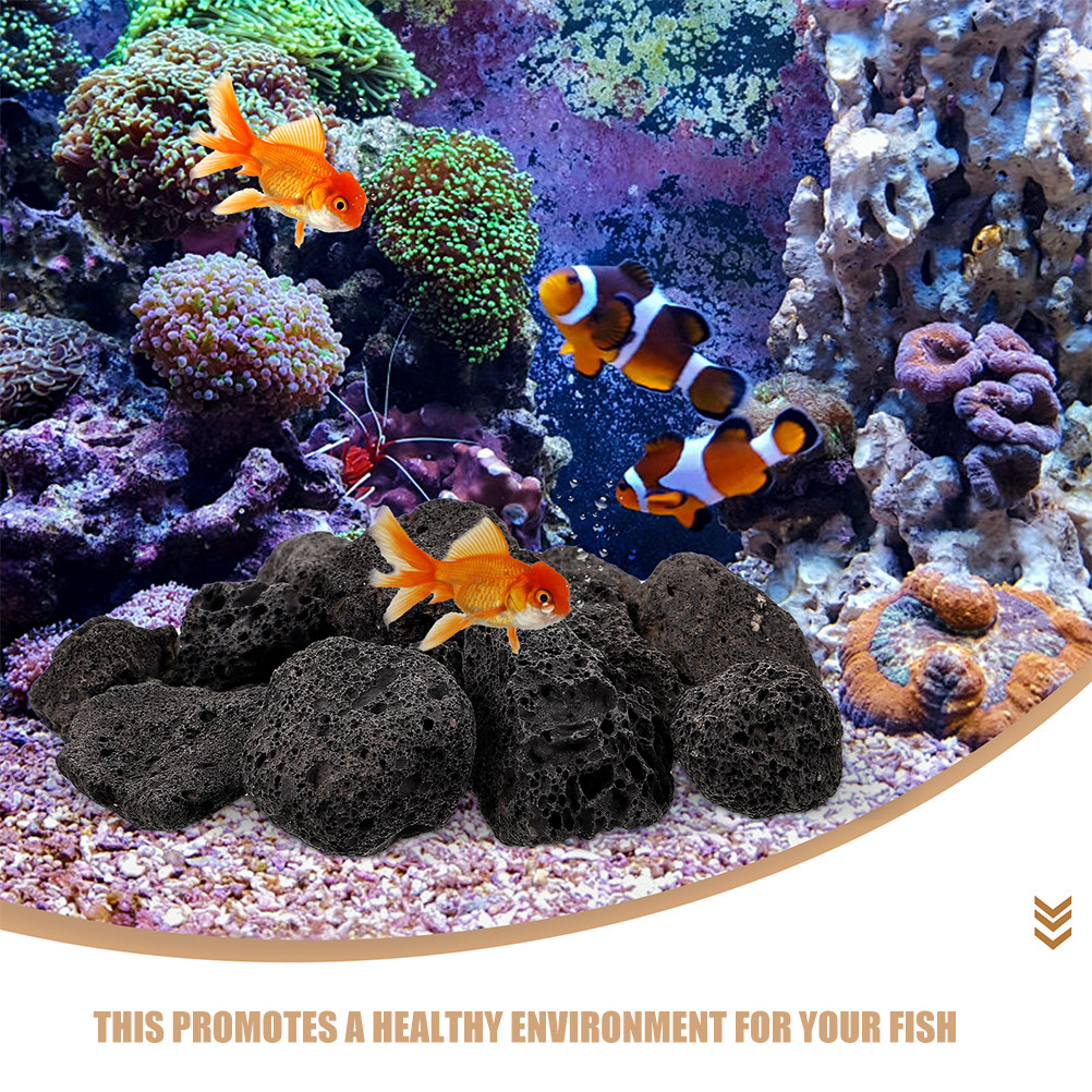 Pierre de lave noire naturelle - Aquarium Planted Soil avis et prix