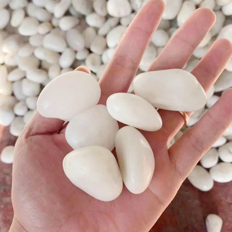 Pierres de rivière polies blan - Aquarium Sand White avis et prix