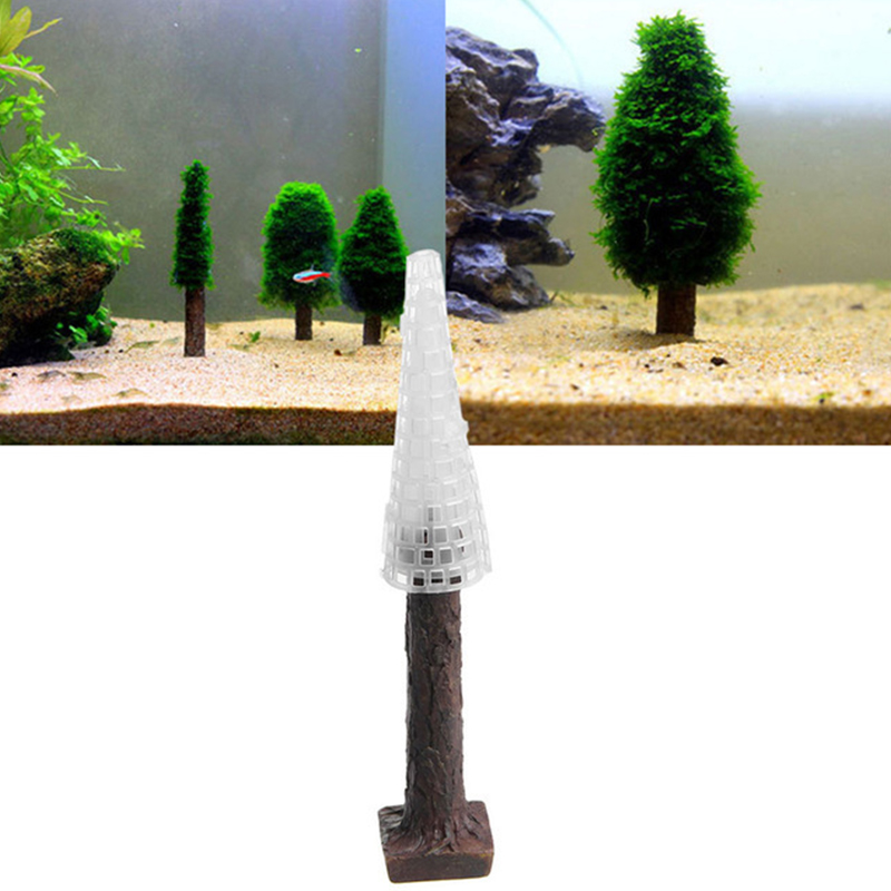 Décor de paysage précieux pour - Planted Aquarium Moss avis et prix
