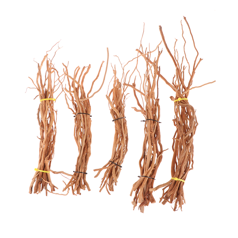 Arbre de tronc de racine de bo - Aquarium Planted Soil avis et prix