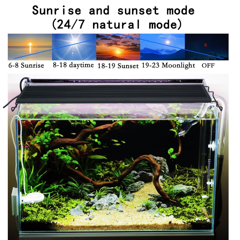 Lampe LED pour aquarium, spect - Aquarium Planted Tank Light avis et prix