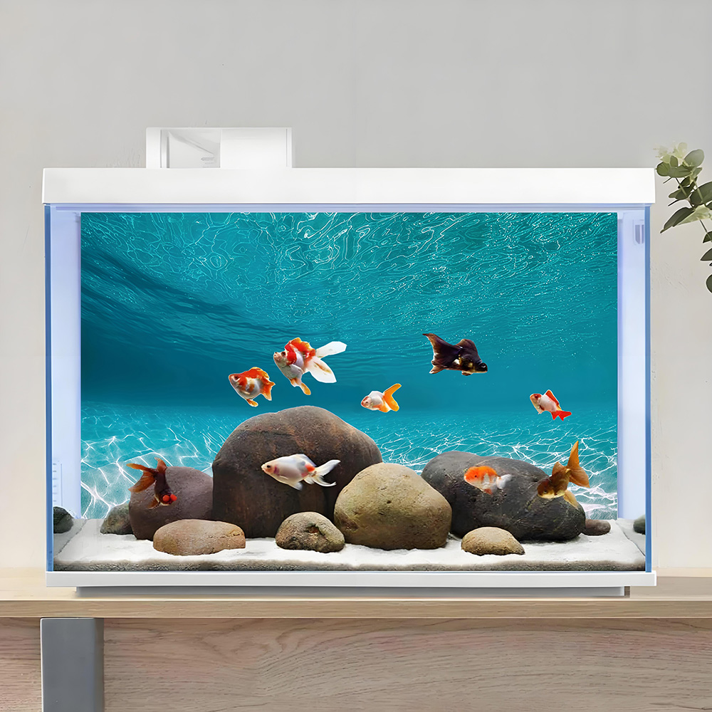 Sable blanc ensoleillé, peintu - Aquarium Sand White avis et prix
