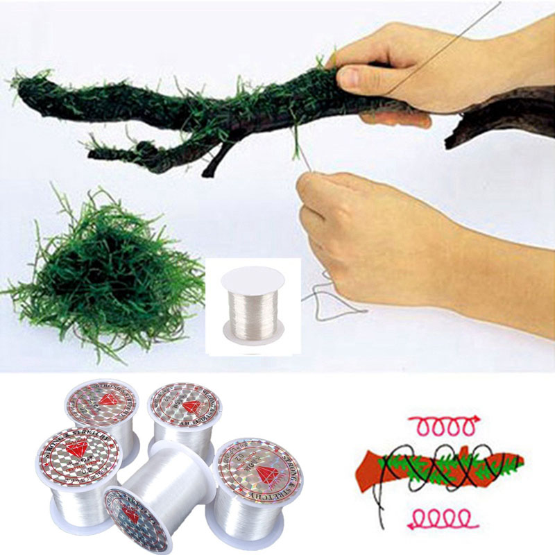 Ligne de liaison en mousse à m - Aquarium Plant Echinodorus avis et prix