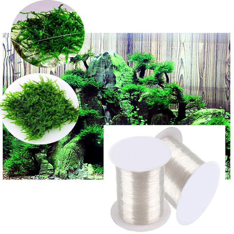 Ligne de liaison en mousse à m - Aquarium Plant Echinodorus avis et prix