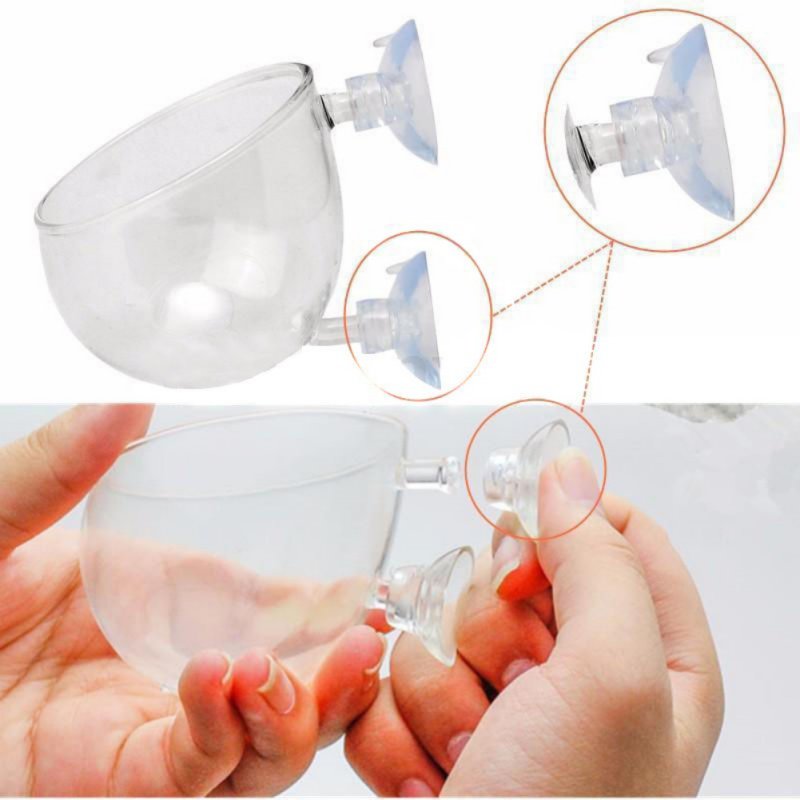 Tasse à intervalles en verre a - Planted Aquarium Moss avis et prix