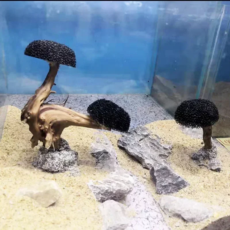 Plante d'aquarium en bois, déc - Planted Aquarium Without Fish avis et prix