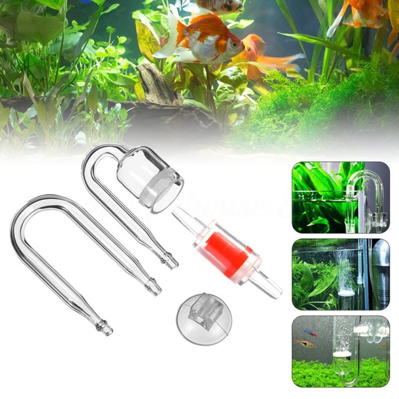 Diffuseur de CO2 pour aquarium - Aquarium Plant Echinodorus avis et prix