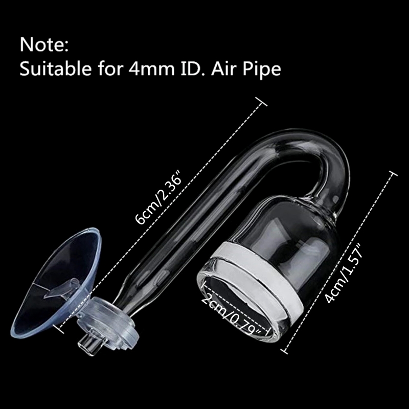 Diffuseur de CO2 pour aquarium - Aquarium Plant Echinodorus avis et prix