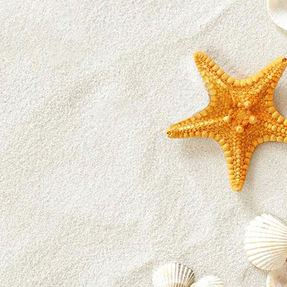 5 paquets de sable blanc pour  - Aquarium Sand White avis et prix